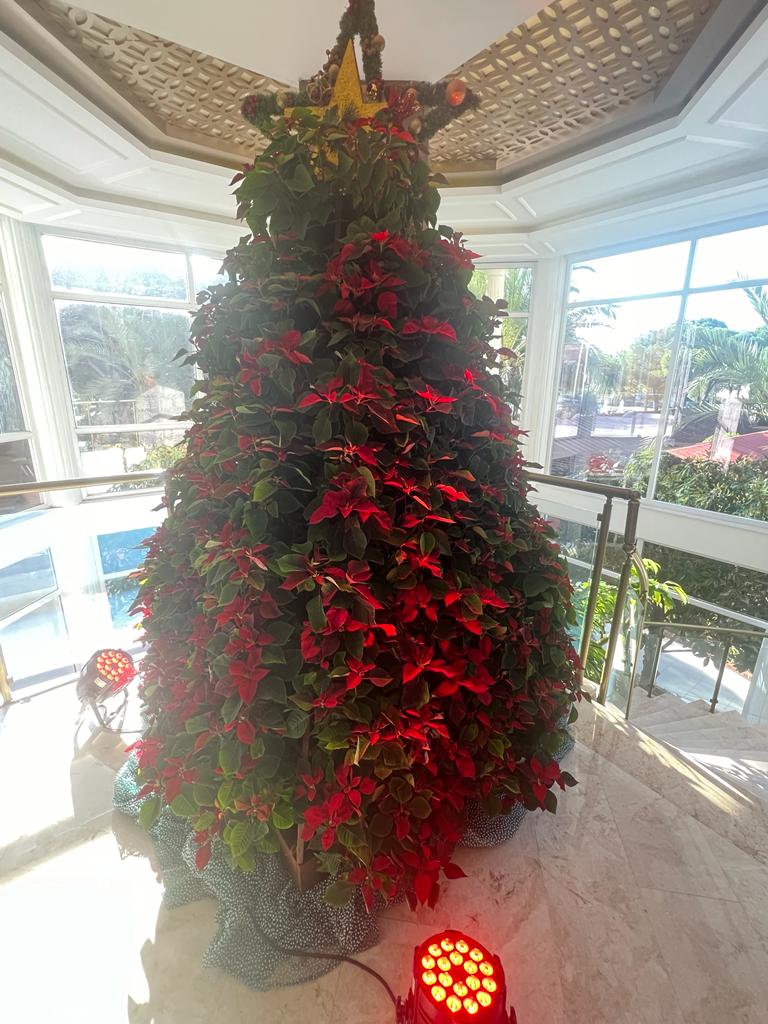 Weihnachtsbaum Hotel SerikAntalya, Türkei ROBINSON NOBILIS