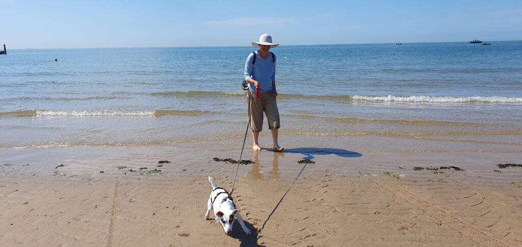 Hunde am Strand von Zoutelande und Westkapelle erlaubt auch freilaufend