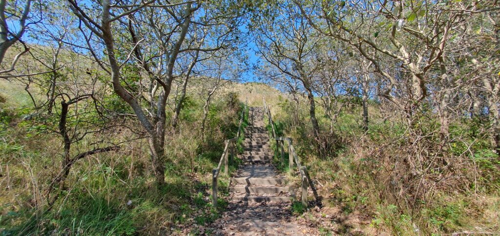 Treppe Düne zum Strand