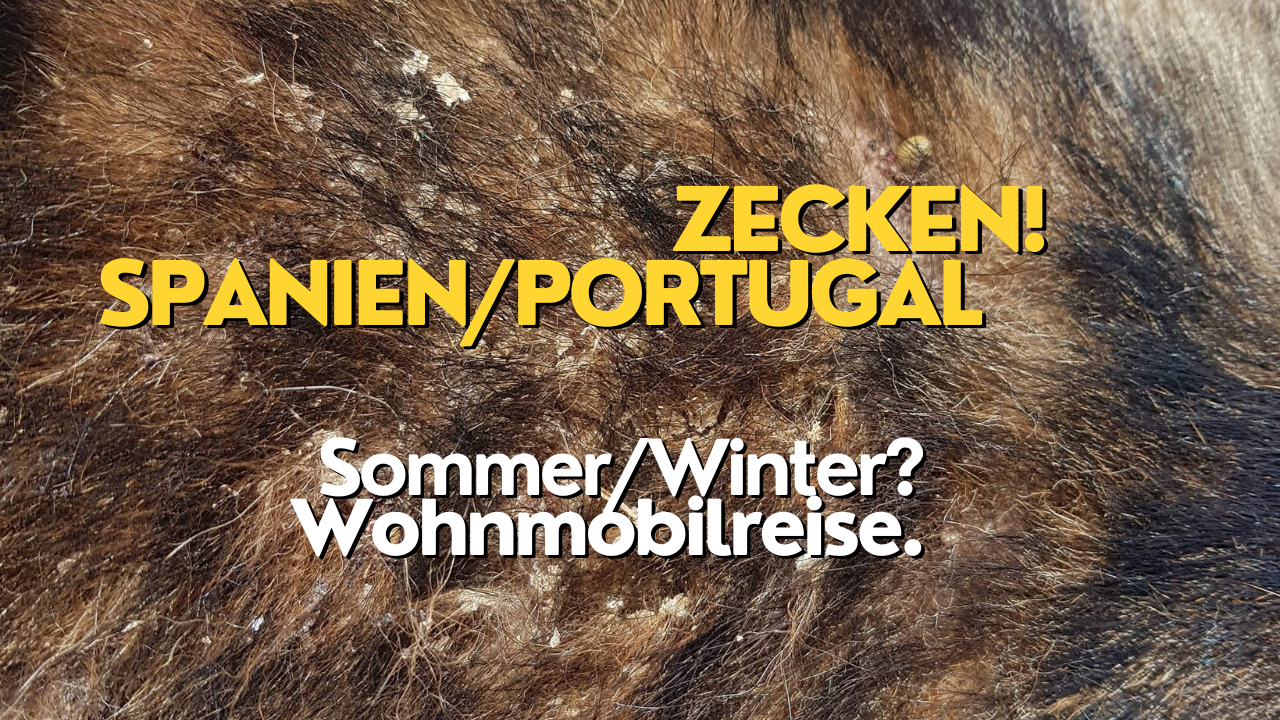 Wohnmobilreise Winter Spanien und Portugal Zecken?